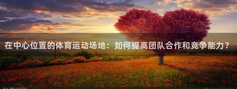 必发官方正版app集团官网首页：在中心位置的体育运动