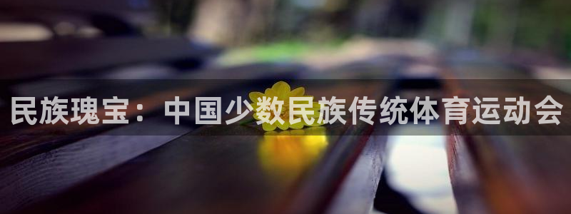 必发官方正版app集团简介