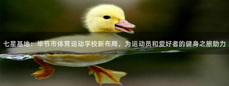 必发官网下载软件：七星基地：毕节市体育运动学校新布局