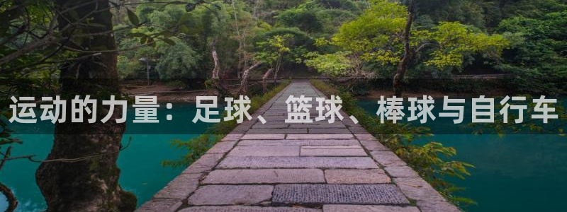 必发官方正版app科技