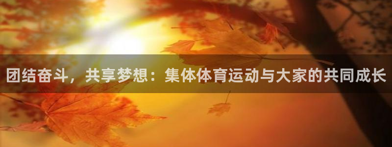 必发官网下载平台是正规平台吗：团结奋斗，共享梦想：集
