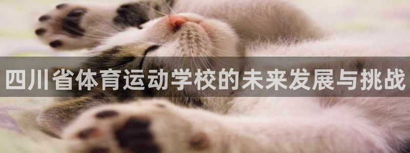 必发官方正版app娱乐首页网站大全：四川省体育运动学