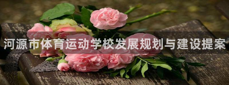 必发官方正版app神州：河源市体育运动学校发展规划与