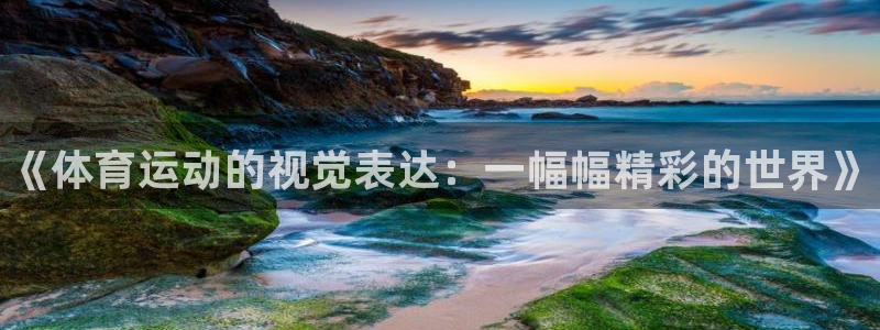 必发官方正版app娱乐首页官网下载：《体育运动的视觉