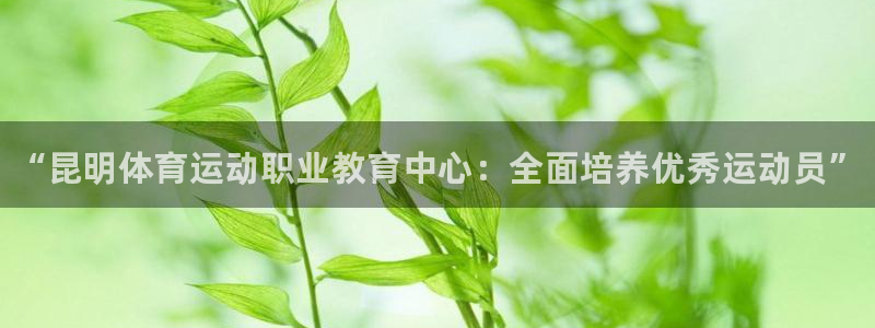 必发官方正版app五金厂：“昆明体育运动职业教育中心