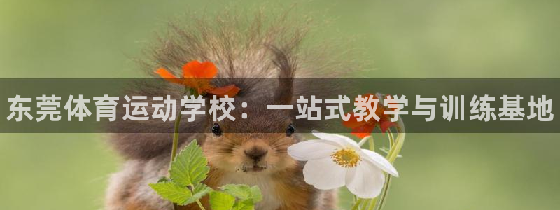 必发官网下载招商