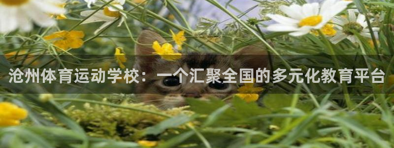 必发官方正版app娱乐下载：沧州体育运动学校：一个汇