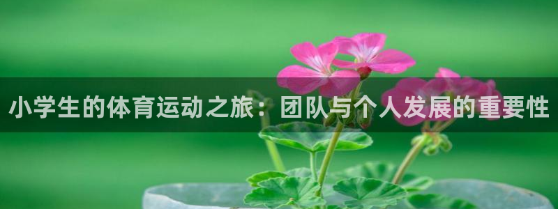 必发官网下载招商电话是多少啊：小学生的体育运动之旅：