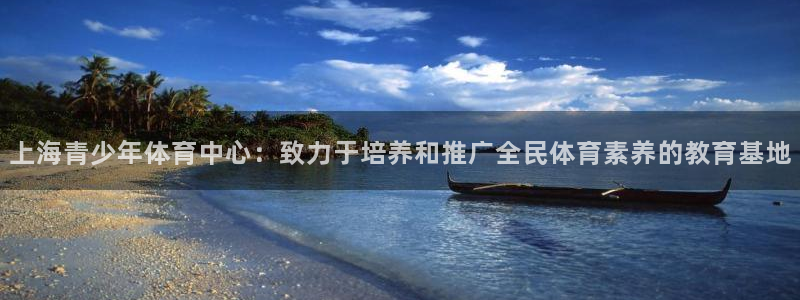 德国必发官方正版app集团：上海青少年体育中心：致力