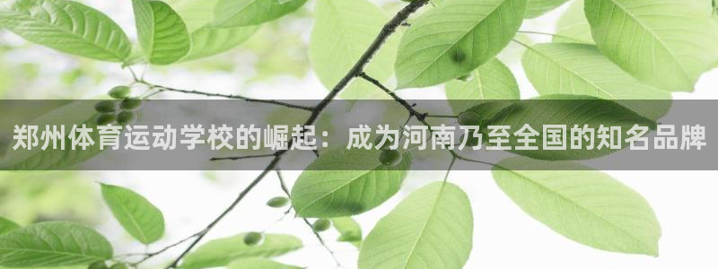 必发官方正版app娱乐代理怎么样：郑州体育运动学校的