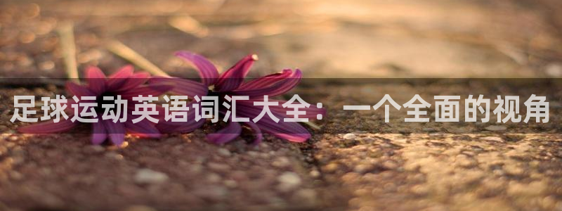 必发官网下载招商电话号码查询：足球运动英语词汇大全：