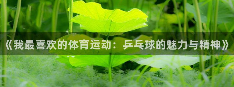 必发官方正版app集团官网网址：《我最喜欢的体育运动