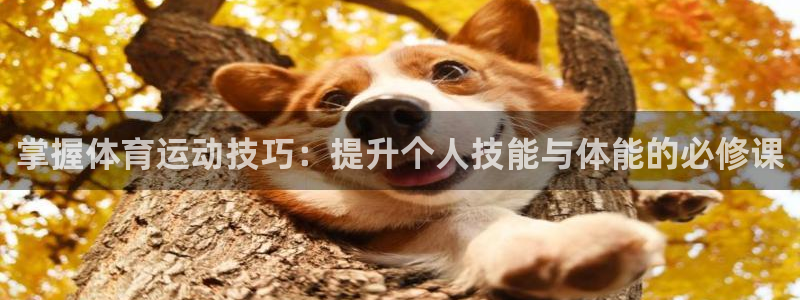 必发官方正版app开户：掌握体育运动技巧：提升个人技