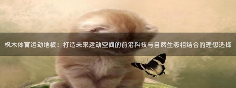 必发官网下载注册：枫木体育运动地板：打造未来运动空间的前沿科