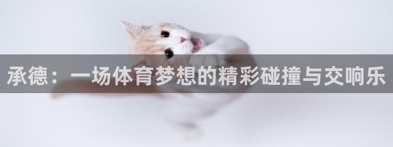 必发官网下载平台注册流程视频