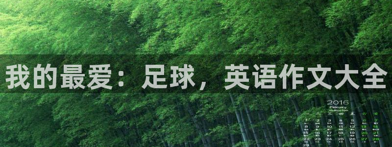 必发官方正版app集团官网首页网址