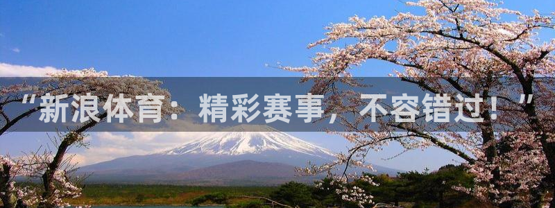 玩球直播(免费版)：“新浪体育：精彩赛事，不容错过！”